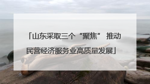 山东采取三个“聚焦” 推动民营经济服务业高质量发展