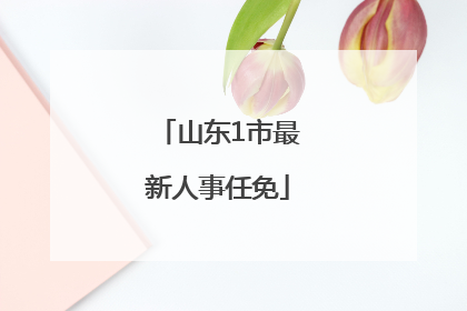 山东1市最新人事任免