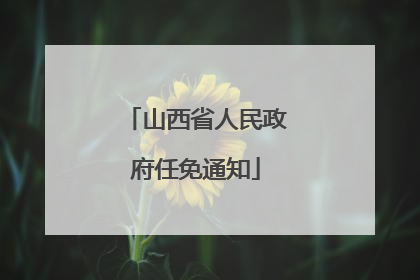 山西省人民政府任免通知