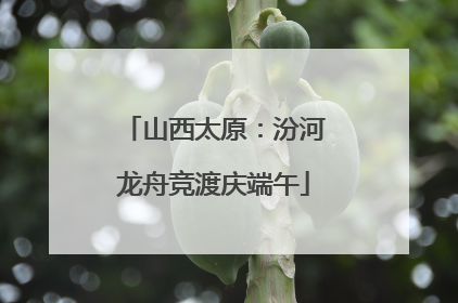 山西太原：汾河龙舟竞渡庆端午