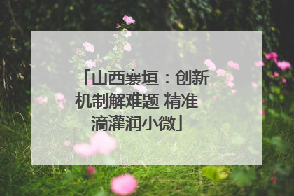山西襄垣：创新机制解难题 精准滴灌润小微