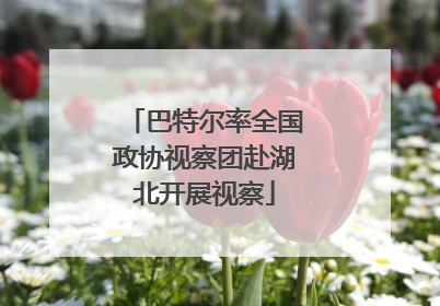 巴特尔率全国政协视察团赴湖北开展视察