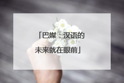 巴媒：汉语的未来就在眼前