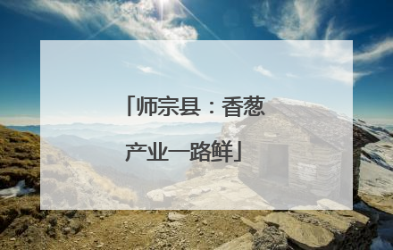 师宗县：香葱产业一路鲜