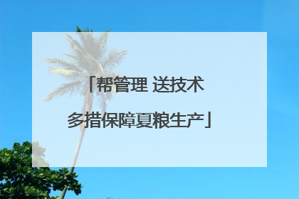 帮管理 送技术 多措保障夏粮生产
