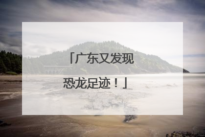 广东又发现恐龙足迹！