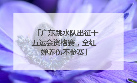 广东跳水队出征十五运会资格赛，全红婵养伤不参赛