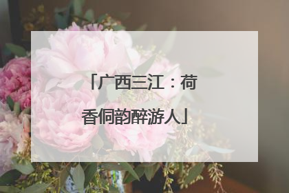 广西三江：荷香侗韵醉游人