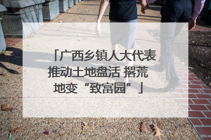 广西乡镇人大代表推动土地盘活 撂荒地变“致富园”
