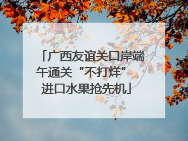 广西友谊关口岸端午通关“不打烊” 进口水果抢先机
