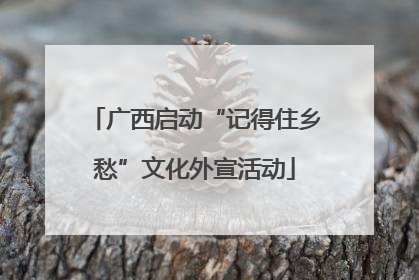 广西启动“记得住乡愁”文化外宣活动