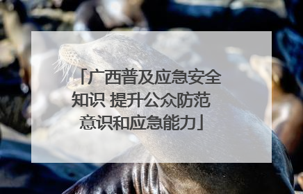 广西普及应急安全知识 提升公众防范意识和应急能力