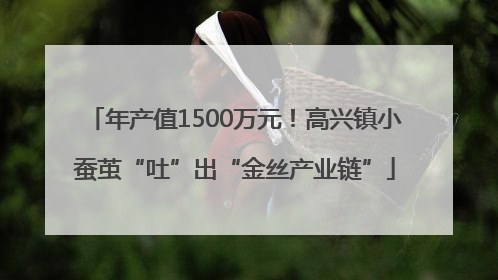年产值1500万元！高兴镇小蚕茧“吐”出“金丝产业链”