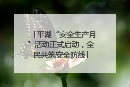 平湖“安全生产月”活动正式启动，全民共筑安全防线