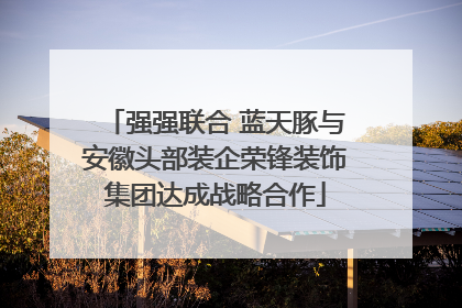 强强联合 蓝天豚与安徽头部装企荣锋装饰集团达成战略合作