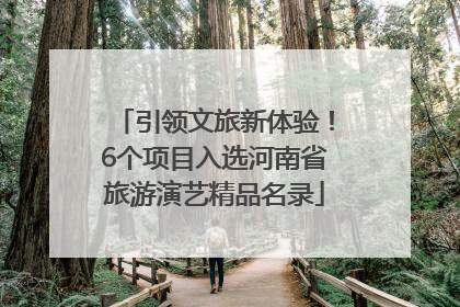 引领文旅新体验！6个项目入选河南省旅游演艺精品名录