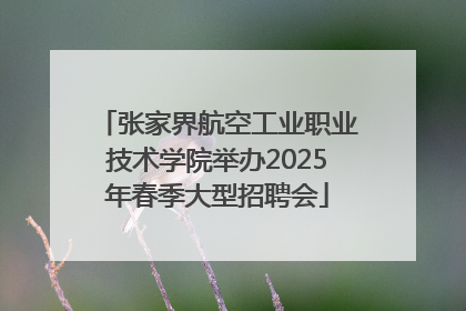 张家界航空工业职业技术学院举办2025年春季大型招聘会