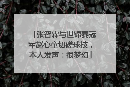 张智霖与世锦赛冠军赵心童切磋球技，本人发声：很梦幻