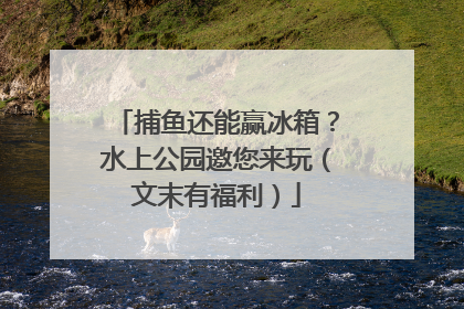 捕鱼还能赢冰箱？水上公园邀您来玩（文末有福利）