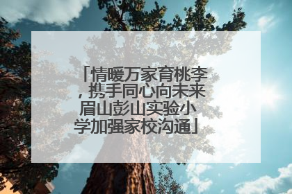 情暖万家育桃李，携手同心向未来 眉山彭山实验小学加强家校沟通