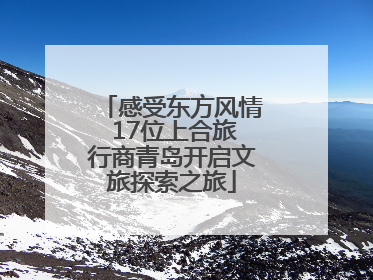 感受东方风情 17位上合旅行商青岛开启文旅探索之旅