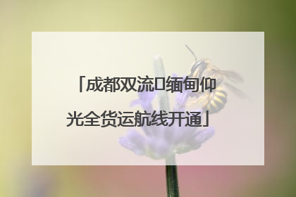 成都双流⇌缅甸仰光全货运航线开通