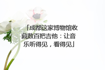 成都这家博物馆收藏数百把吉他：让音乐听得见，看得见