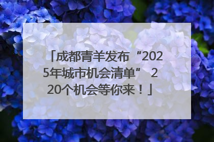 成都青羊发布“2025年城市机会清单” 220个机会等你来！