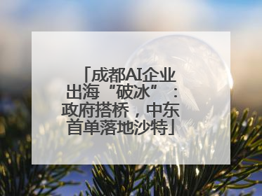 成都AI企业出海“破冰”：政府搭桥，中东首单落地沙特
