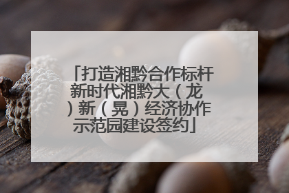 打造湘黔合作标杆 新时代湘黔大（龙）新（晃）经济协作示范园建设签约