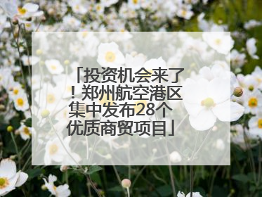 投资机会来了！郑州航空港区集中发布28个优质商贸项目