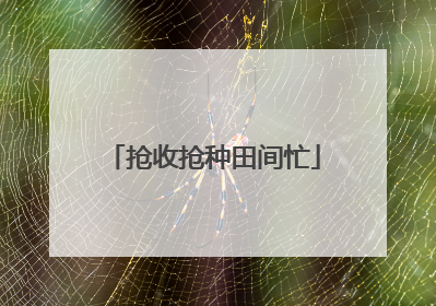 抢收抢种田间忙