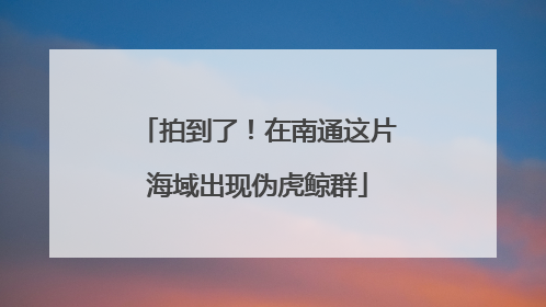 拍到了！在南通这片海域出现伪虎鲸群
