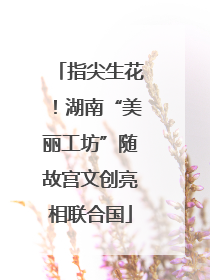 指尖生花！湖南“美丽工坊”随故宫文创亮相联合国