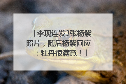 李现连发3张杨紫照片，随后杨紫回应：牡丹很满意！