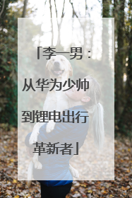 李一男：从华为少帅到锂电出行革新者