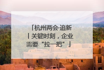 杭州两会·追新丨关键时刻，企业需要“拉一把”