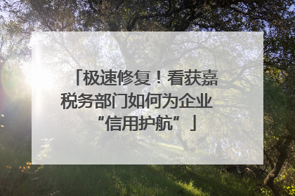 极速修复！看获嘉税务部门如何为企业“信用护航”