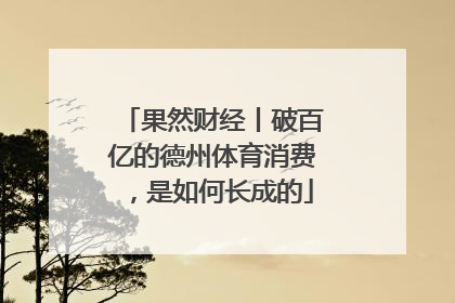 果然财经丨破百亿的德州体育消费，是如何长成的