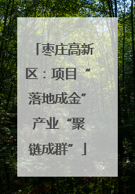 枣庄高新区：项目“落地成金” 产业“聚链成群”