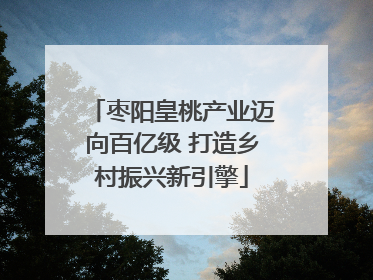 枣阳皇桃产业迈向百亿级 打造乡村振兴新引擎