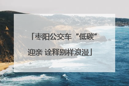 枣阳公交车“低碳”迎亲 诠释别样浪漫