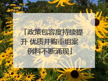 政策包容度持续提升 优质并购重组案例料不断涌现