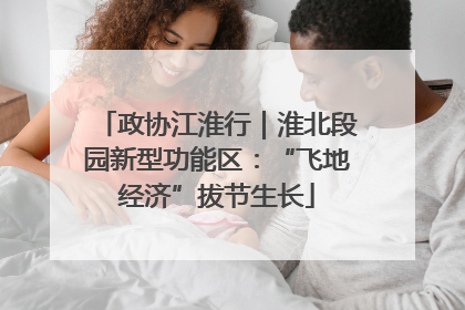 政协江淮行｜淮北段园新型功能区：“飞地经济”拔节生长