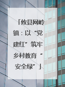 攸县网岭镇：以“党建红”筑牢乡村教育“安全绿”