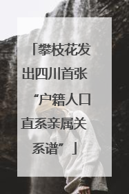 攀枝花发出四川首张“户籍人口直系亲属关系谱”