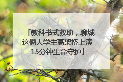 教科书式救助，聊城这俩大学生高架桥上演15分钟生命守护