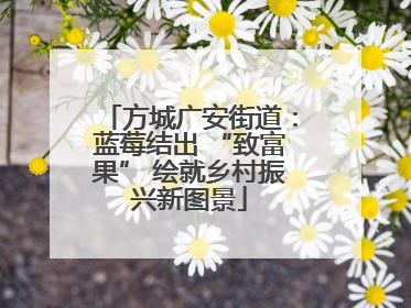 方城广安街道：蓝莓结出 “致富果” 绘就乡村振兴新图景