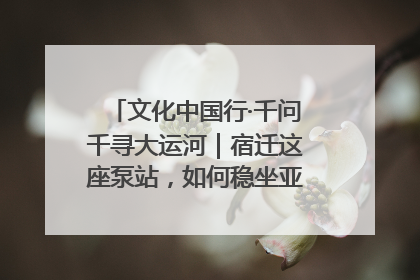 文化中国行·千问千寻大运河｜宿迁这座泵站，如何稳坐亚洲第一宝座？