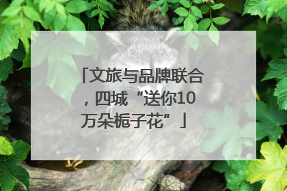 文旅与品牌联合，四城“送你10万朵栀子花”